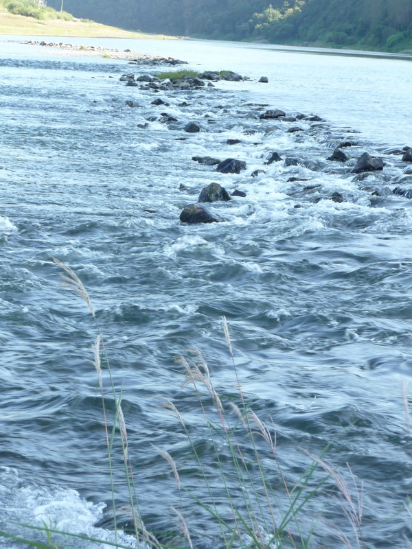 2009-09-19-098.jpg