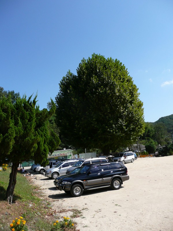 2009-09-19-009.jpg