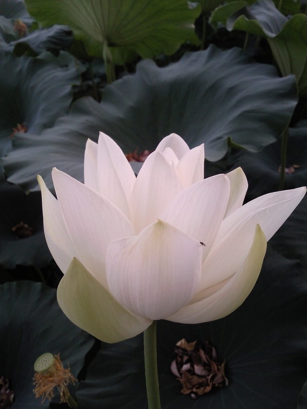 2010-07-14-015.jpg