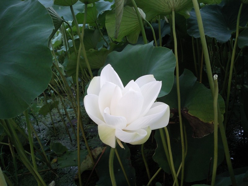 2010-07-14-004.jpg