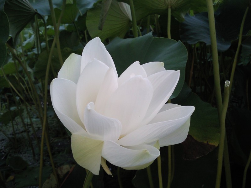 2010-07-14-005.jpg