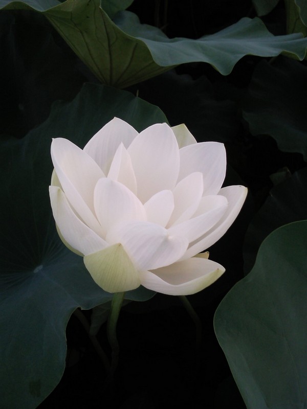 2010-07-14-010.jpg
