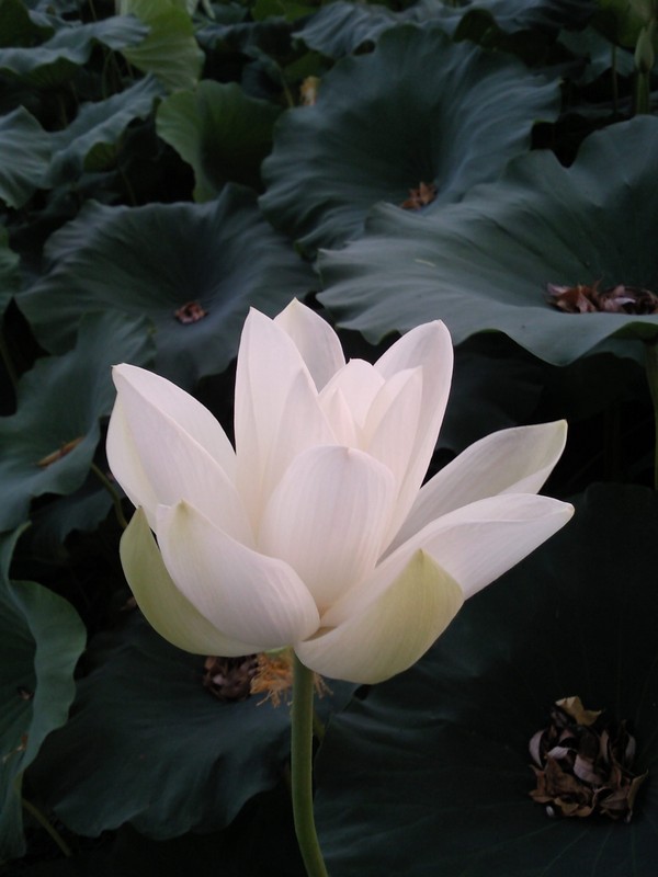 2010-07-14-011.jpg