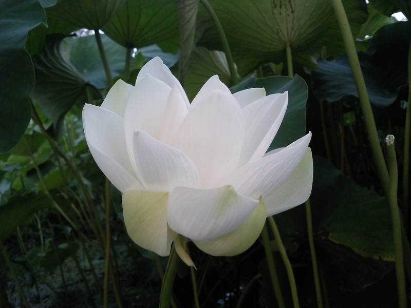2010-07-14-006.jpg