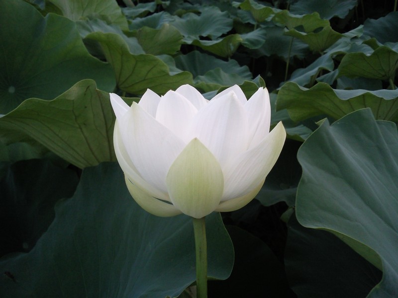 2010-07-14-007.jpg