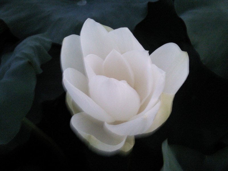 2010-07-14-018.jpg