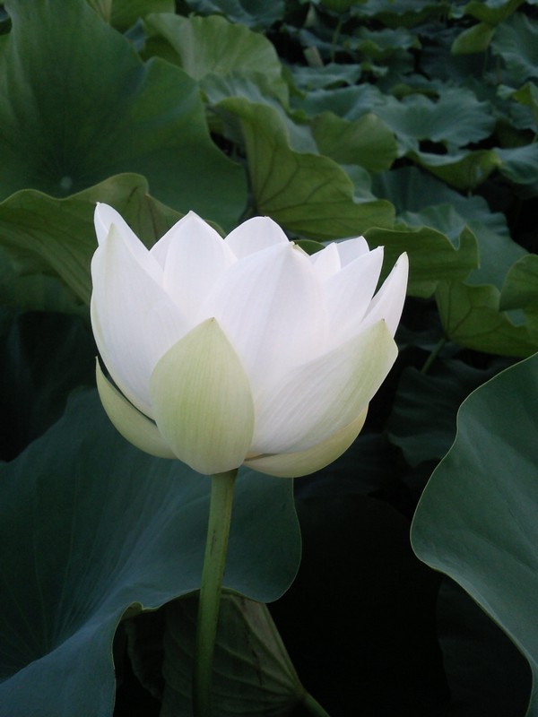 2010-07-14-008.jpg