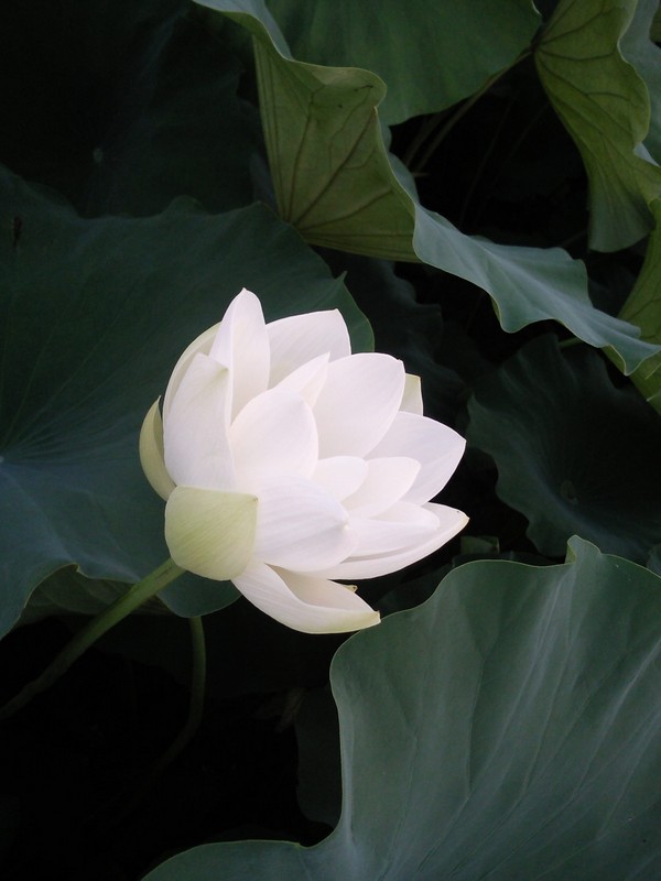 2010-07-14-009.jpg