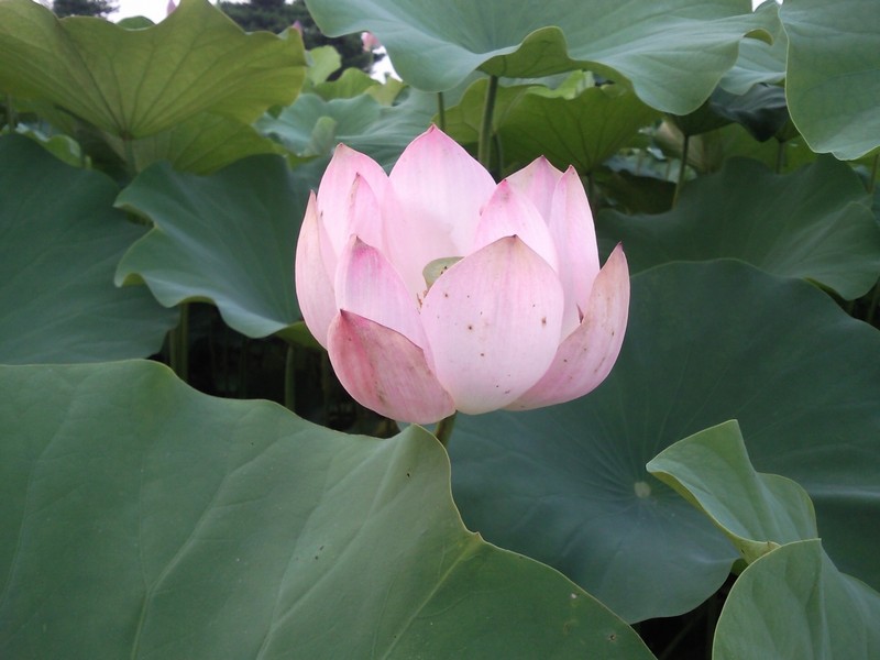 2010-07-14-003.jpg