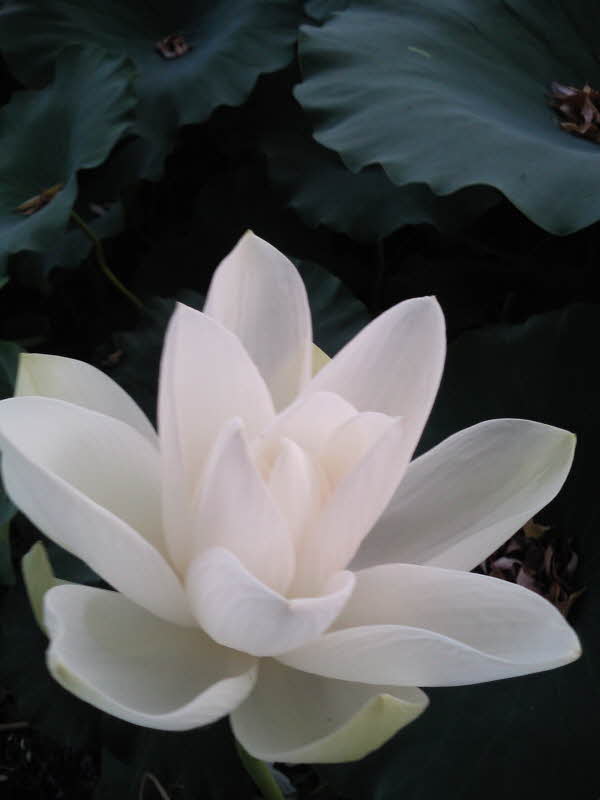 2010-07-14-012.jpg