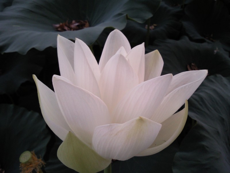2010-07-14-013.jpg