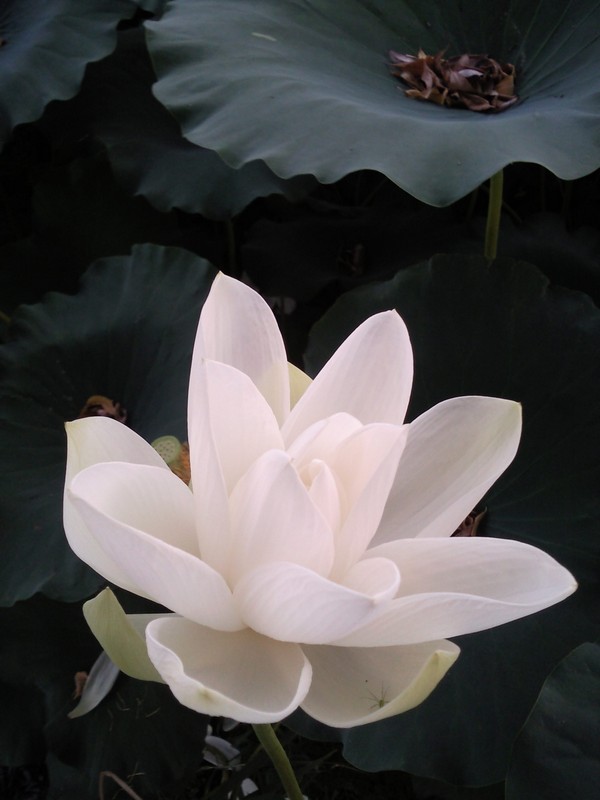 2010-07-14-014.jpg
