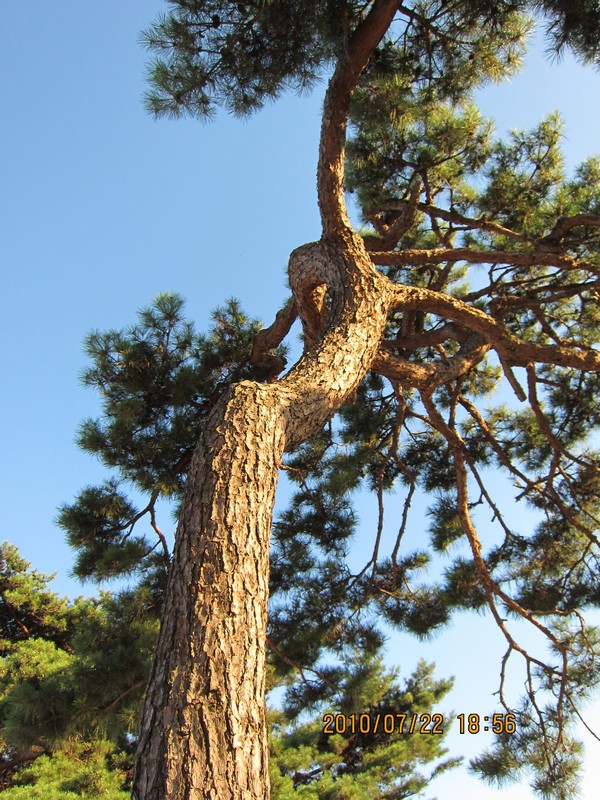 2012-02-14-007.jpg