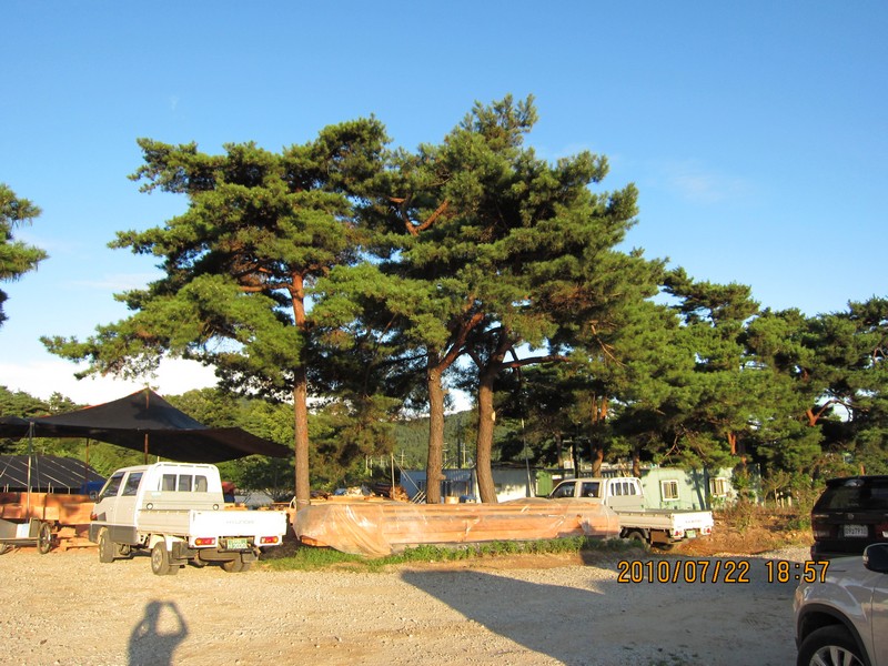 2010-07-22-011.jpg