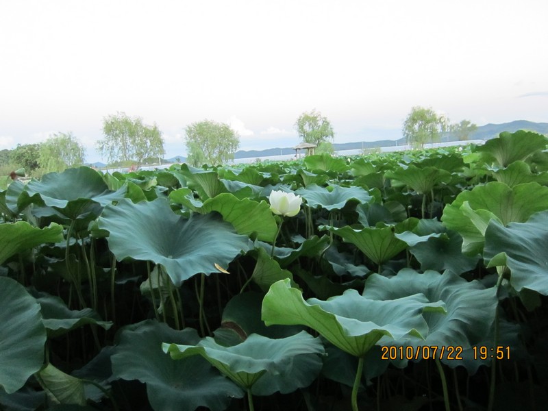 2010-07-22-018.jpg