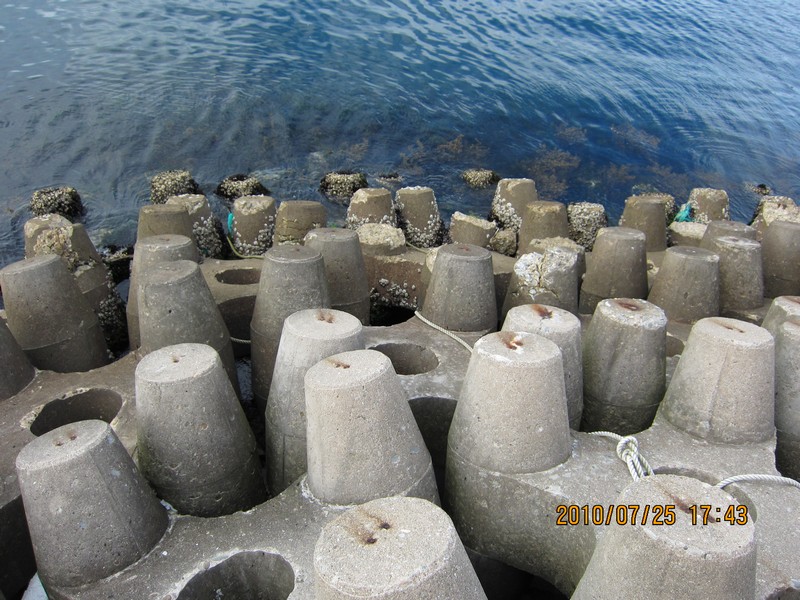 2010-07-25-075.jpg