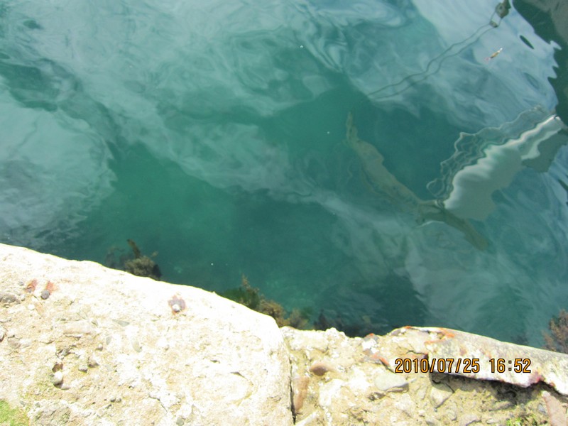 2010-07-25-059.jpg