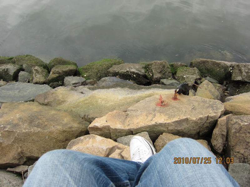 2010-07-25-043.jpg