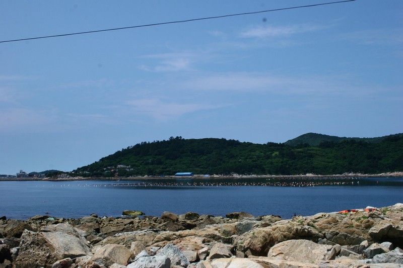 2010-07-26-237.jpg