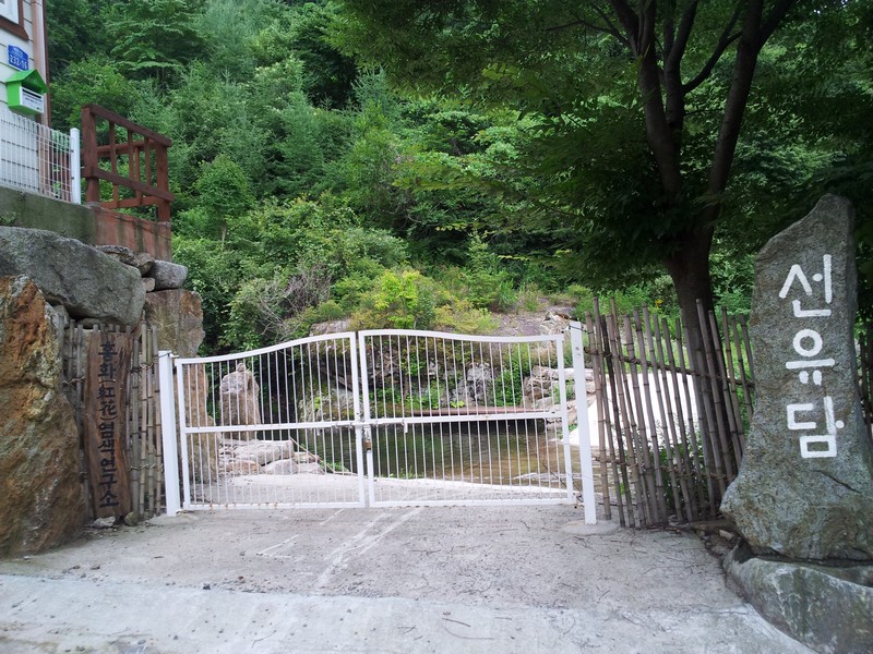 20120815_135053.jpg