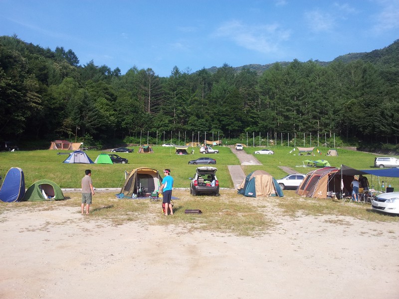 20120801_075128.jpg