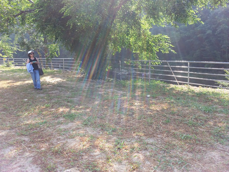 20120801_083330.jpg