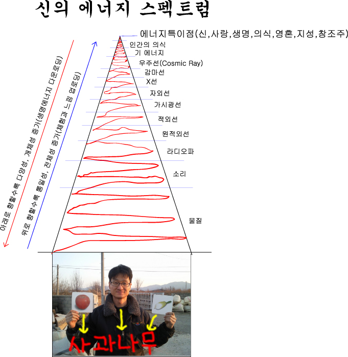에너지스펙트럼_outlined.jpg